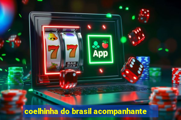 coelhinha do brasil acompanhante